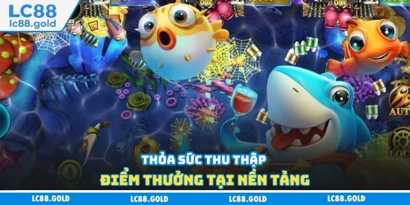 Thỏa sức thu thập điểm thưởng tại nền tảng