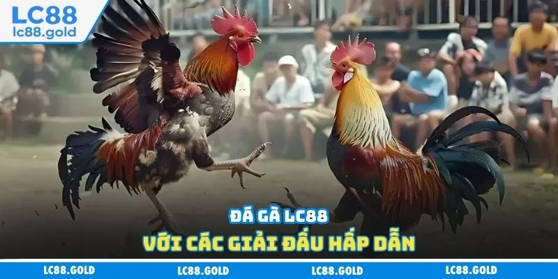 Đá gà LC88 với các giải đấu hấp dẫn