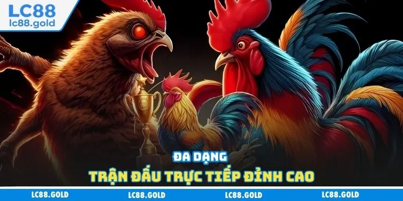 Đa dạng trận đấu trực tiếp đỉnh cao Đa dạng trận đấu trực tiếp đỉnh cao